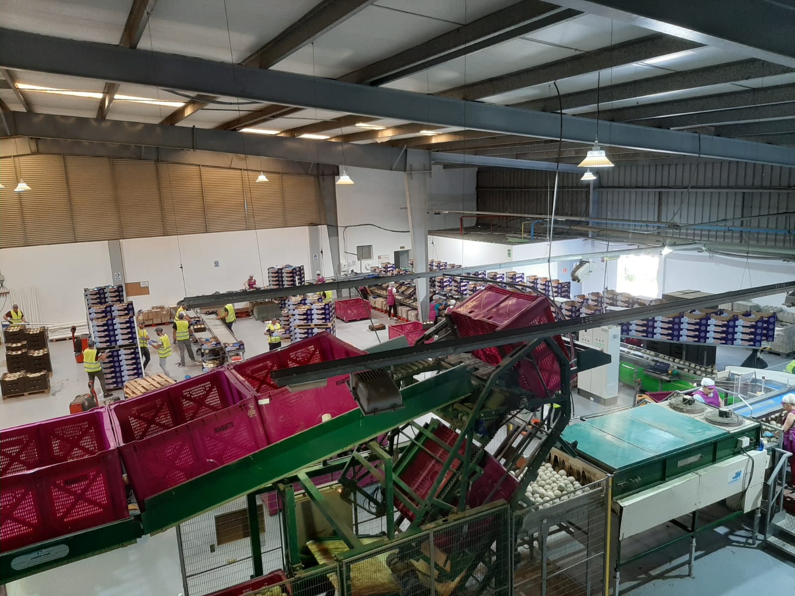 Línea de producción